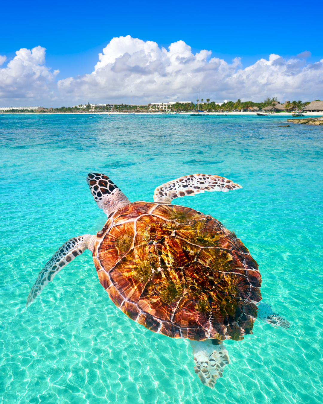 Riviera Maya